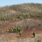 Wilson Promontory Park